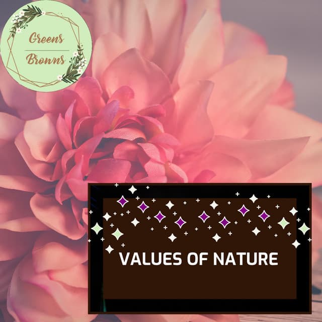 Values of Nature - Calm Music