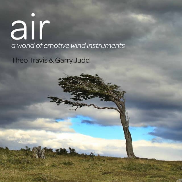 Air - Theo Travis