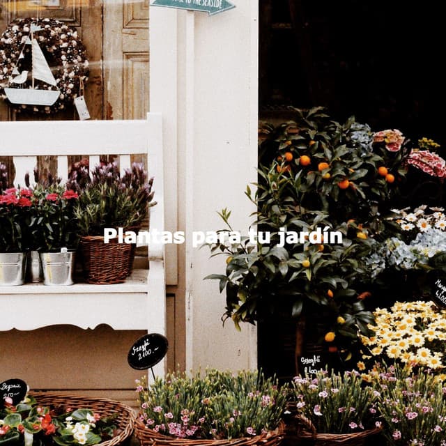 Plantas para tu jardín - Happy Coffee Shop Music