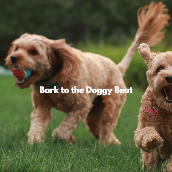 Bark to the Doggy Beat - Songs for Dogs to Sleep To