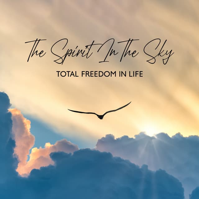 The Spirit In The Sky: Total Freedom In Life - 7 Types Of Spirits