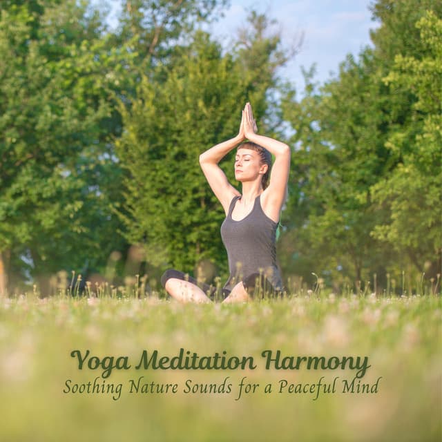 Yoga Meditation Harmony: Soothing Nature Sounds for a Peaceful Mind - Healing Nature Sounds
