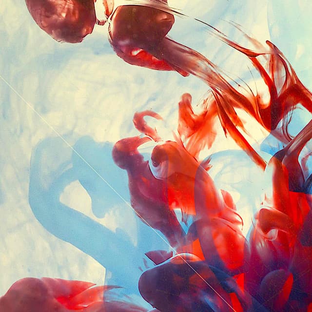 The Music You Need - Shelly Manne