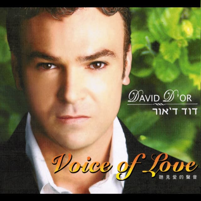 Voice Of Love - David D'Or