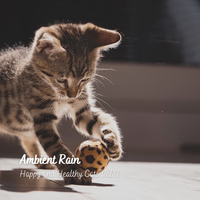 Ambient Rain: Happy and Healthy Cats Vol. 1 - Dreaming In The Clouds