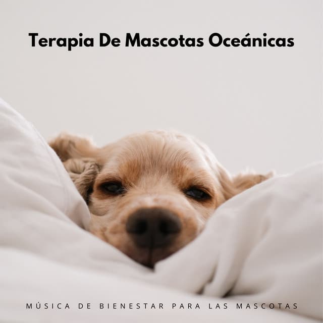 Terapia De Mascotas Oceánicas: Música De Bienestar Para Las Mascotas - Descansar Musica