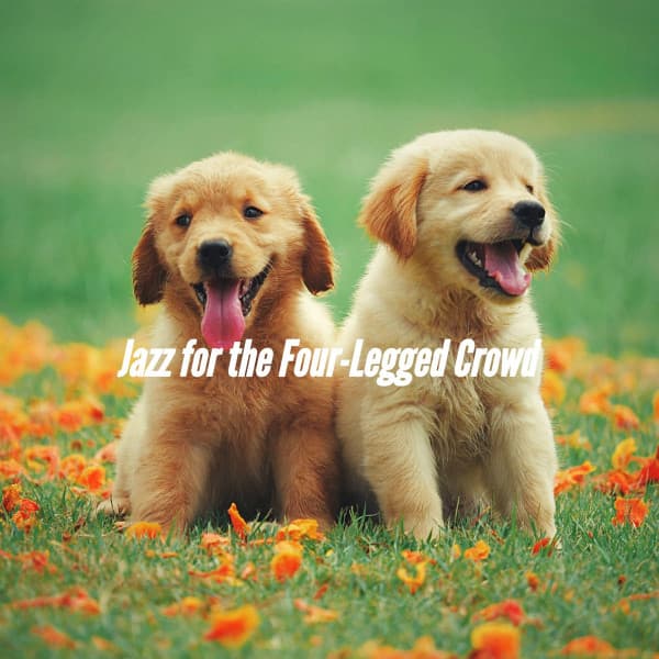 Jazz for the Four-Legged Crowd - Music for Dogs Radio