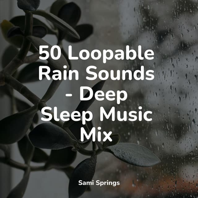 50 Soothing Winter Rain Tracks - Study Music