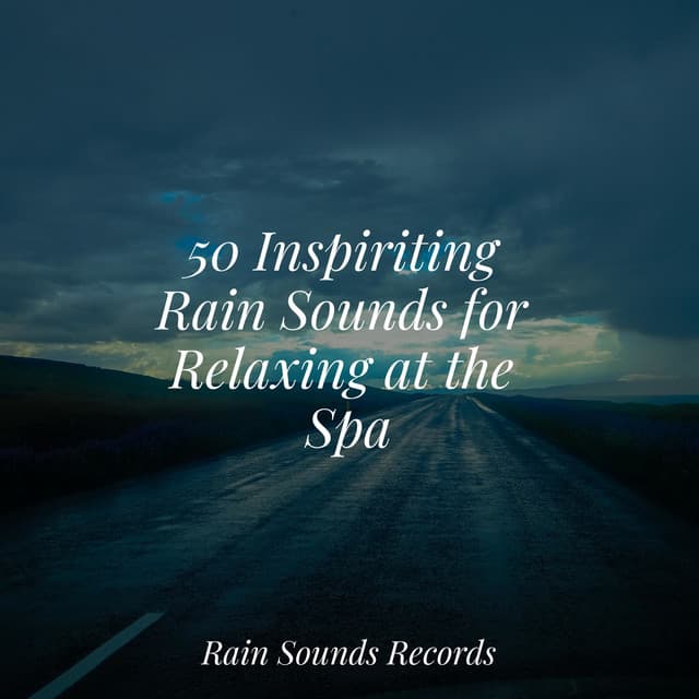 50 Inspiriting Rain Sounds for Relaxing at the Spa - Pro Sound Effects Library