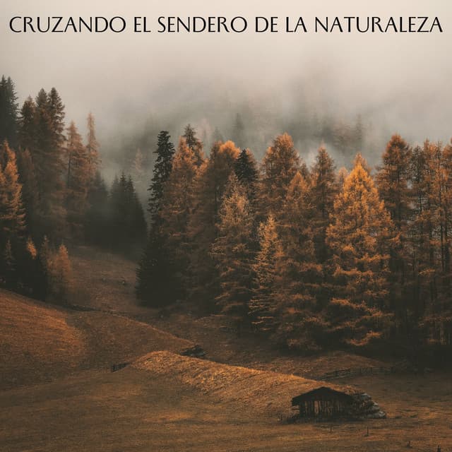 Cruzando El Sendero De La Naturaleza - La naturaleza