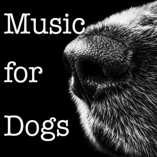 Music for Dogs - Dog Music