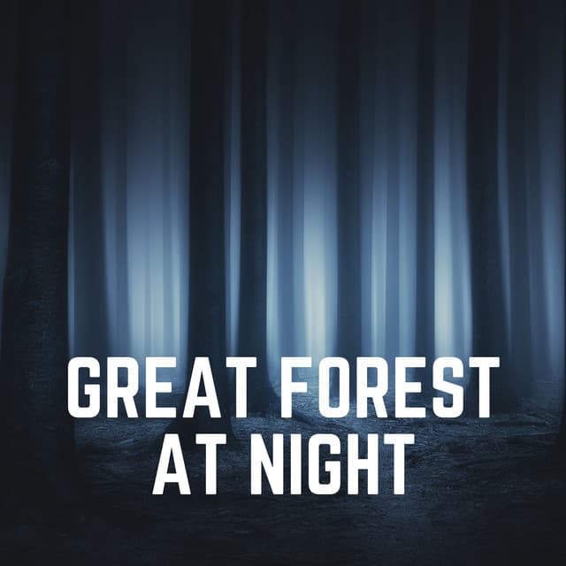 Great Forest At Night - Swedish Forest Birds