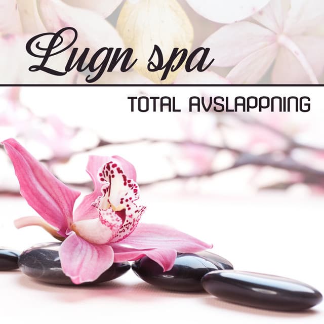 Lugn spa - Mindfulness meditation världen