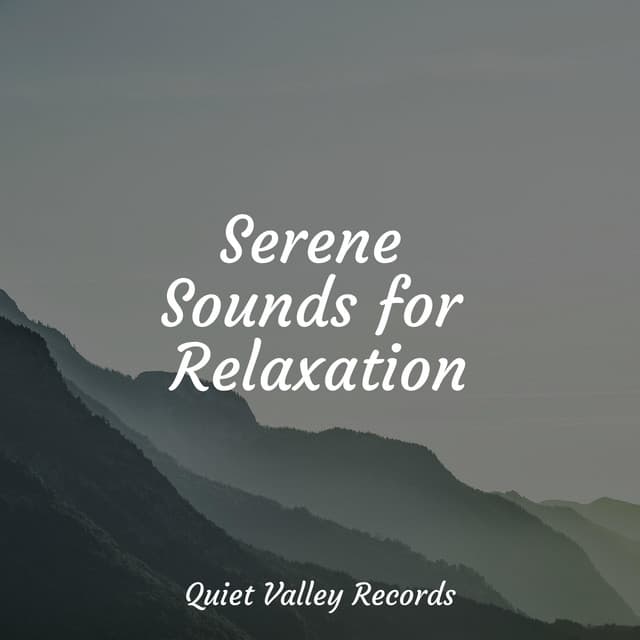 Serene Sounds for Relaxation - Pro Sound Effects Library