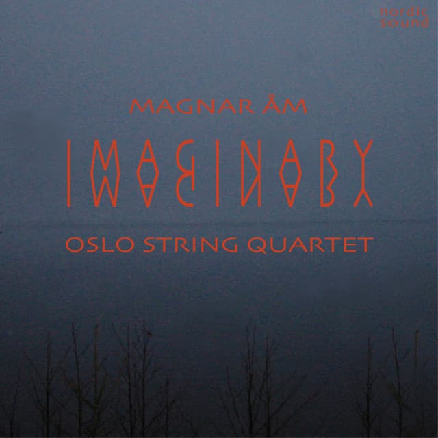 Imaginary - Magnar Åm