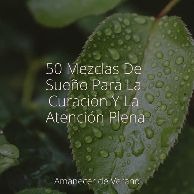 50 Mezclas De Sueño Para La Curación Y La Atención Plena - Música ambiental relajante