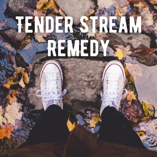 Tender Stream Remedy - Rest & Relax Nature Sounds Artists