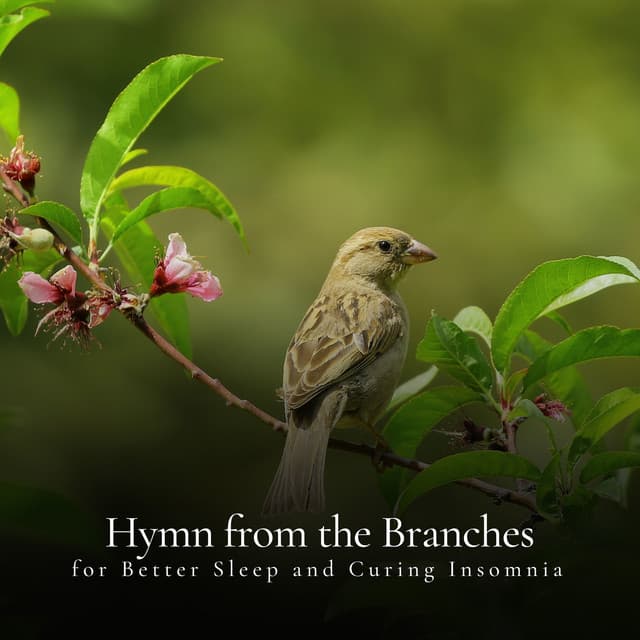 * Hymn from the Branches for Better Sleep and Curing Insomnia * - Calm Singing Birds Zone