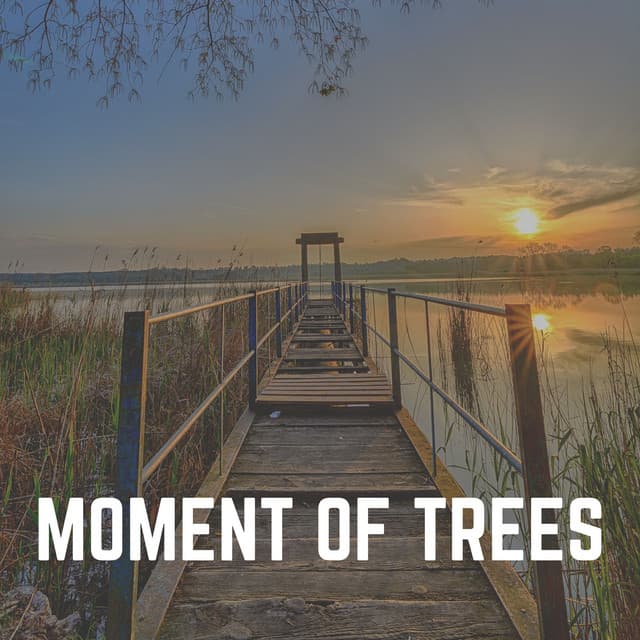 Moment of Trees - Sound of Nature Library