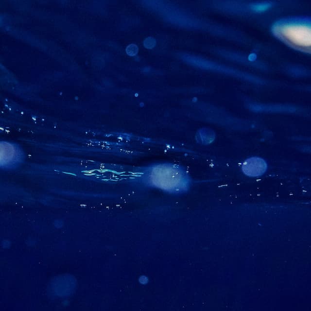 1 Coastal Night: Midnight Tides - Sea Waves Sounds