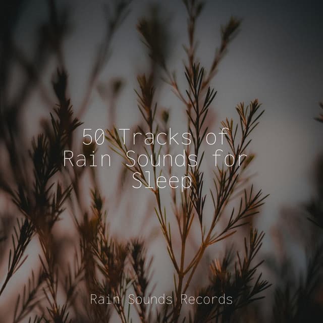 50 Tracks of Rain Sounds for Sleep - Musica Relajante