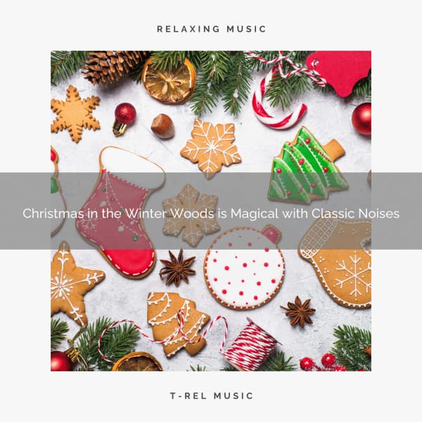 Christmas in the Winter Woods is Magical with Classic Noises - The Forest Escape
