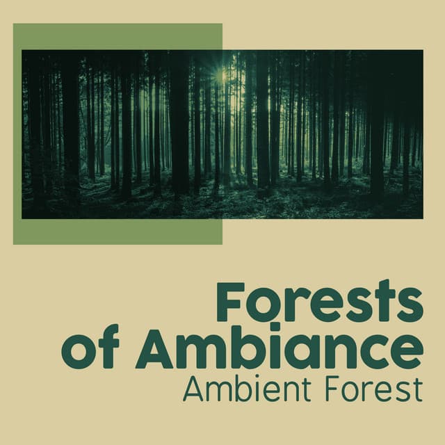 Forests of Ambiance - Ambient Forest