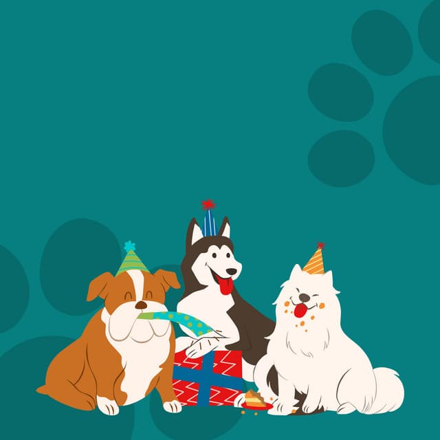 Rhythms of Paws: Music for Pets' Life Journey - Mindvellous