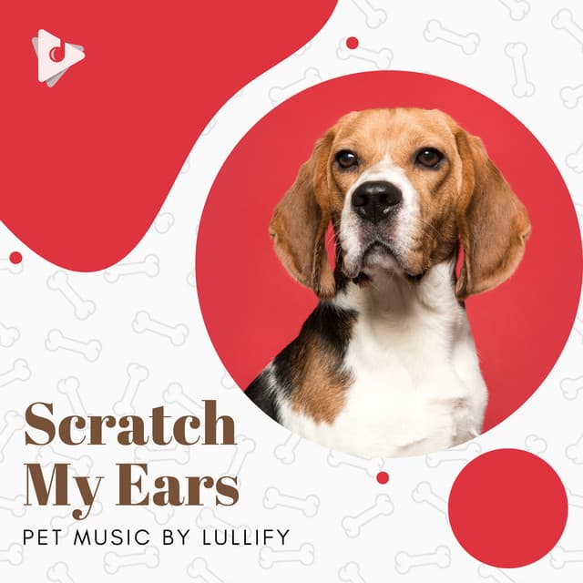 Scratch My Ears - Pet Music by Lullify