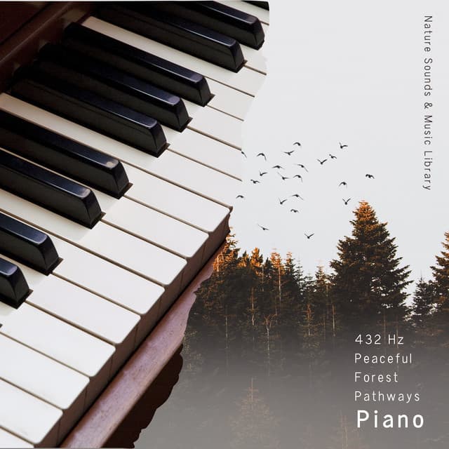 432 Hz Peaceful Forest Pathways: Piano - Nature Sounds & Music Library