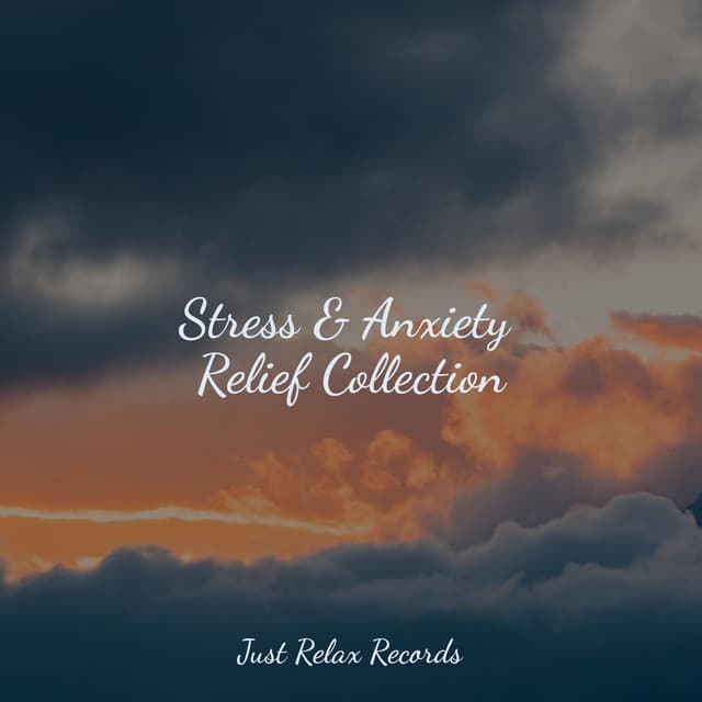 Stress & Anxiety Relief Collection - Baby Lullaby