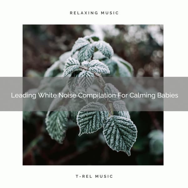 Leading White Noise Compilation For Calming Babies - Sleep Noise