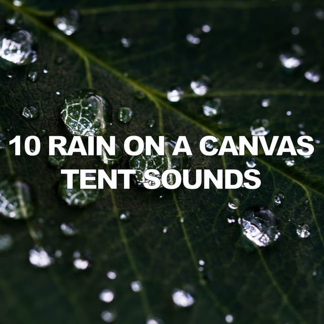 10 Rain On A Canvas Tent Sounds - Rain Recorders