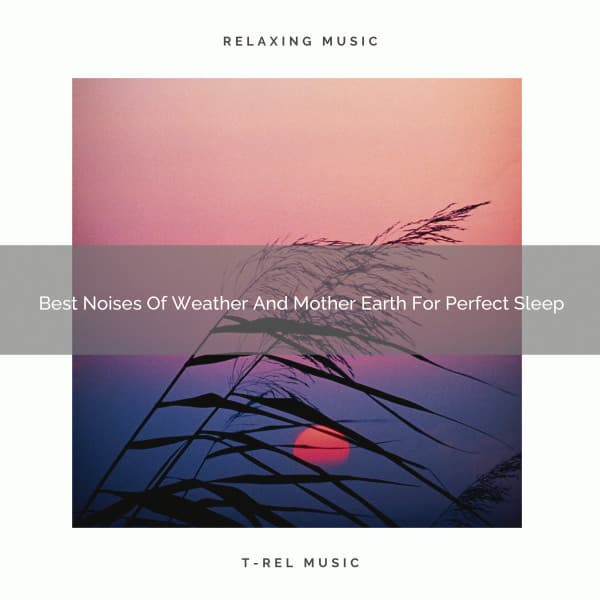 Best Noises Of Weather And Mother Earth For Perfect Sleep - Noise Makers