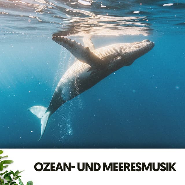 Ozean- und Meeresmusik: Melodien des tiefen Blaus - Dog Relaxation