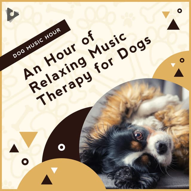 An Hour of Relaxing Music Therapy for Dogs - Dog Music Hour