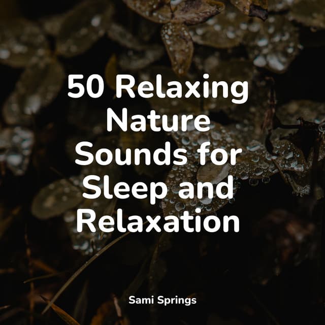 50 Relaxing Nature Sounds for Sleep and Relaxation - Sounds of Nature White Noise Sound Effects