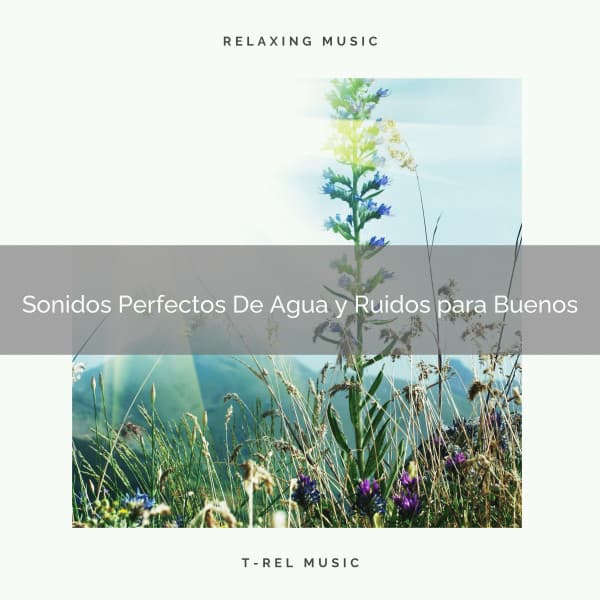 Sonidos Perfectos De Agua y Ruidos para Buenos - Ruido Blanco Para Estudiar