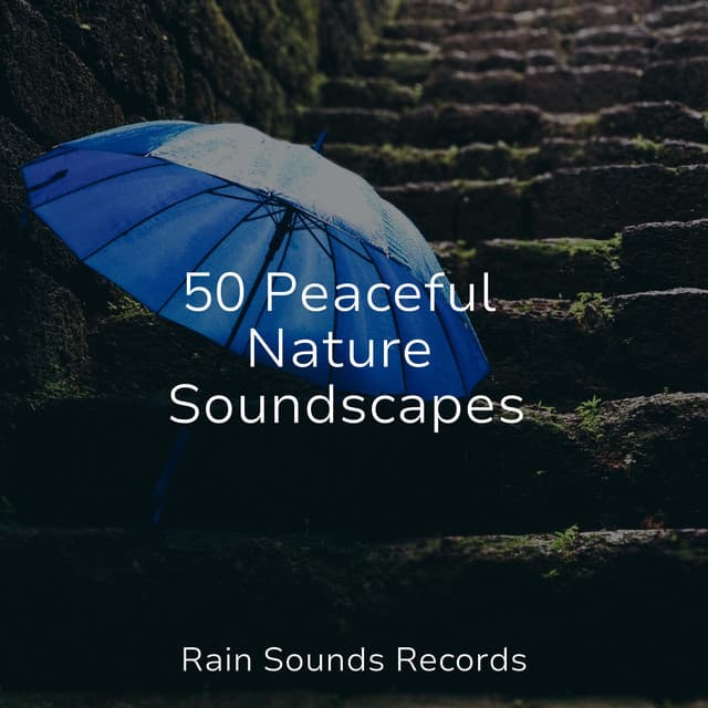 50 Peaceful Nature Soundscapes - Rain For Deep Sleep