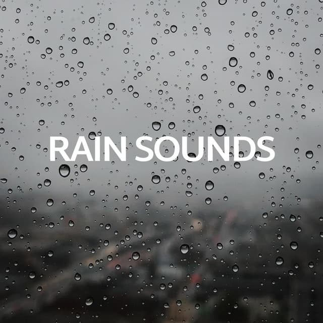 Rain Sounds - Rain Sounds