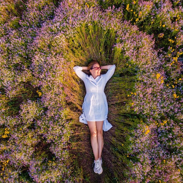 Vibraciones Pacíficas Para Relajación Y Reposo Tranquilo - El puente de un carril