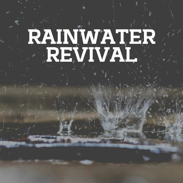 Rainwater Revival - Nature and Rain