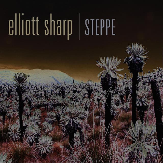 Steppe - Elliott Sharp