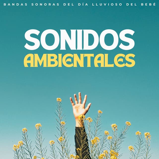 Sonidos Ambientales: Bandas Sonoras Del Día Lluvioso Del Bebé - Tranquilidad Eterna