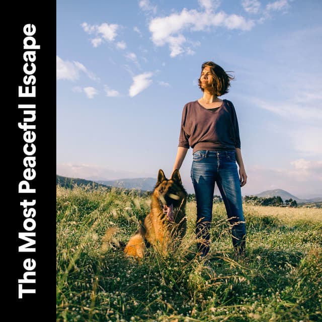 The Most Peaceful Escape - Nature & Sounds Backgrounds