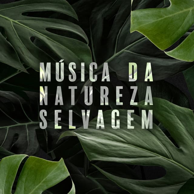 Música da Natureza Selvagem: Relaxamento Exótico com Sons de Animais - Hipnose Natureza Sons Coleção
