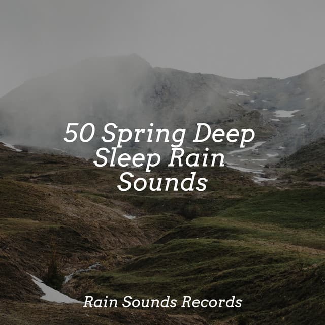 50 Spring Deep Sleep Rain Sounds - Lucid Dreaming Music