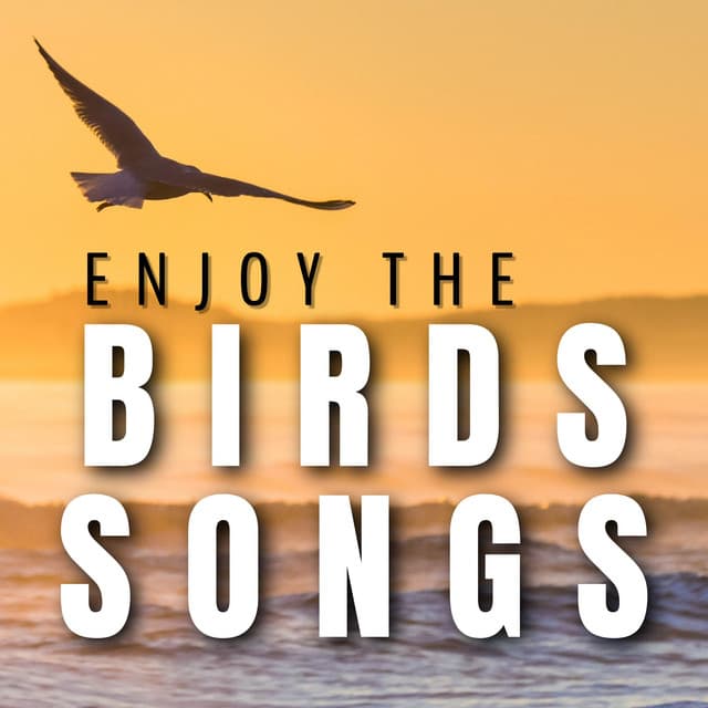 Enjoy the Birds Songs - Bird Songs
