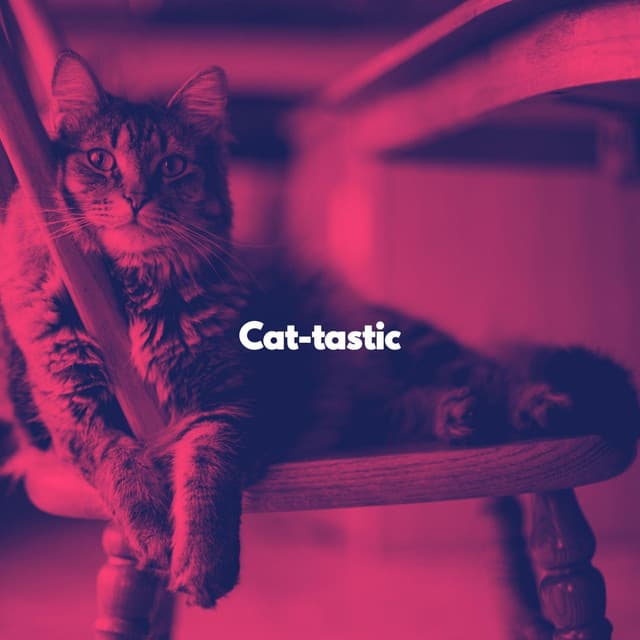 Cat-tastic - Cat Music