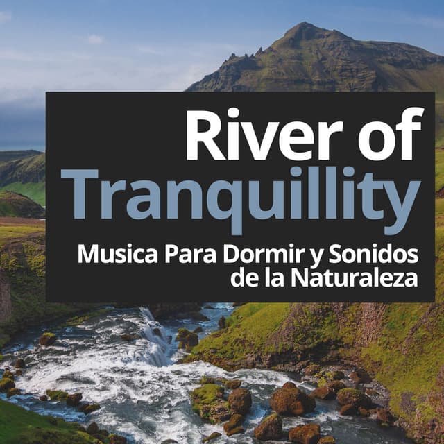 River of Tranquillity - Musica Para Dormir y Sonidos de la Naturaleza